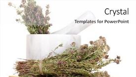  Presentation with thyme - Cool new PPT theme with dam in the canary island backdrop and a teal colored foreground