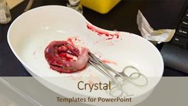  Presentation with cat - Colorful PPT layouts enhanced with medical intestinal - veterinarian had operating a cat backdrop and a soft green colored foreground