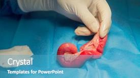  Presentation with surgery room - Audience pleasing PPT theme consisting of medical intestinal - veterinarian is operating an cat backdrop and a teal colored foreground