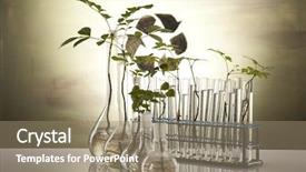  Presentation with laboratory equipment - Audience pleasing PPT layouts consisting of medical lab green - chemical laboratory glassware equipment ecology backdrop and a coral colored foreground