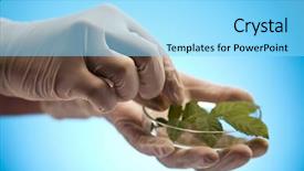  Presentation with transgenic plants food test - Theme featuring medical lab green - close-up of plants in test background and a arctic colored foreground