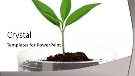  Presentation with laboratory - Theme enhanced with medical lab green - plant in laboratory isolated background and a white colored foreground