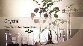  Presentation with laboratory - PPT layouts with medical lab green - plant laboratory background and a lemonade colored foreground