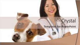  Presentation with russell - Theme enhanced with lab dog - adorable jack russell terrier background and a coral colored foreground