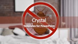  Presentation with road stop sign - Presentation theme enhanced with medical parasite - stop bug sign and clean background and a tawny brown colored foreground