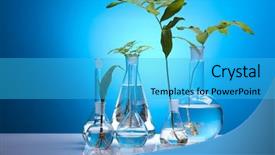  Presentation with biochemistry - Beautiful PPT layouts featuring medical plants - biochemistry laboratory and glass backdrop and a cyan colored foreground