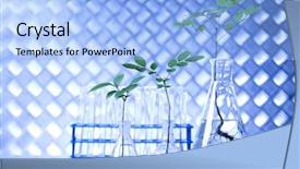  Presentation with biotechnology laboratory - Audience pleasing PPT theme consisting of medical plants - biotechnology chemical laboratory glassware backdrop and a  colored foreground