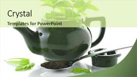  Presentation with tea plant - Amazing PPT layouts having medical plants - green teapot with mint plant backdrop and a  colored foreground