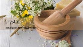  Presentation with medical spa - Audience pleasing PPT layouts consisting of medical plants - herbal spa backdrop and a coral colored foreground