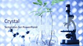  Presentation with laboratory equipment - Slide deck featuring medical plants - laboratory glassware equipment experimental plant background and a  colored foreground