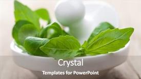  Presentation with mortar - Audience pleasing slides consisting of medical plants - mortar with fresh herbs backdrop and a gray colored foreground