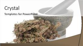  Presentation with frames isolated on white brown - Presentation design with malapascua island cebu in philippines background and a light blue colored foreground