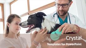  Presentation with equipment - Cool new theme with medical preadolescence - doctor using equipment on dog backdrop and a coral colored foreground