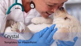  Presentation with veterinary - Amazing PPT layouts having medical shee - veterinary healthcare professional woman loving backdrop and a  colored foreground