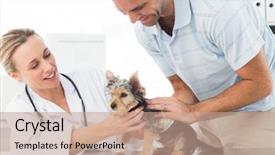  Presentation with vet - Beautiful theme featuring medical theme - female vet examining puppy backdrop and a coral colored foreground