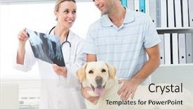  Presentation with pet - Presentation design enhanced with medical theme - female veterinarian and pet owner background and a lemonade colored foreground
