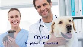  Presentation with kitten - Presentation design with medical theme - portrait of confident veterinarians background and a sky blue colored foreground