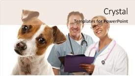  Presentation with hydraulic press bottle jack - Cool new PPT layouts with medical vet - adorable jack russell terrier backdrop and a coral colored foreground