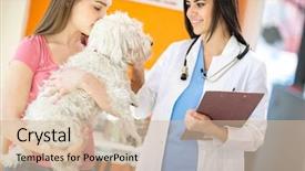  Presentation with puzzle pieces beautiful - Presentation design featuring medical veterinary - beautiful young veterinarian comforting maltese background and a soft green colored foreground