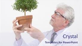  Presentation with hands holding a tree - Colorful PPT theme enhanced with medicen plant - senior scientist holding small potted backdrop and a sky blue colored foreground
