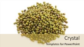  Presentation with traditional chinese medicine - Colorful presentation theme enhanced with medicina tradicional chinesa - mung bean traditional chinese herbal backdrop and a yellow colored foreground