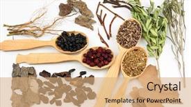  Presentation with traditional chinese medicine - Cool new slide set with medicina tradicional chinesa - traditional chinese herbal medicine ingredients backdrop and a coral colored foreground