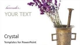  Presentation with cosmetics natural - Presentation theme having medicinal grinder - lavender and antique mortar natural background and a white colored foreground