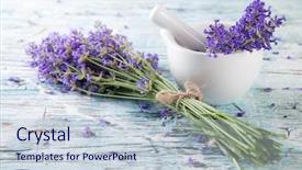  Presentation with lavender - Audience pleasing presentation theme consisting of medicinal grinder - lavender blossoms on wood backdrop and a lemonade colored foreground