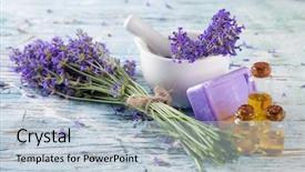  Presentation with lavender - Colorful presentation theme enhanced with 3d rendering of an outlined black tree with green edges isolated on white background backdrop and a white colored foreground.