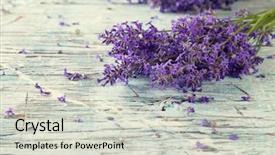  Presentation with lavender - Presentation design featuring medicinal grinder - lavender blossoms on wood background and a soft green colored foreground