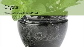  Presentation with marble - PPT theme featuring medicinal grinder - marble stone mortar and pestle background and a yellow colored foreground