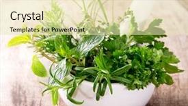  Presentation with herbs on wood - Cool new PPT layouts with medicinal grinder - mortar with herbs on wooden backdrop and a soft green colored foreground