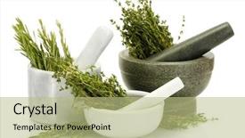  Presentation with thyme - Amazing slide set having medicinal grinder - mortars with fresh green thyme backdrop and a mint green colored foreground
