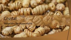  Presentation with pile geotechnical engineering - Theme with medicinal material - pile of dendrobium nobile background and a gold colored foreground