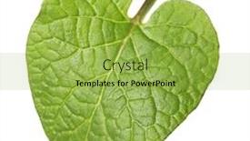  Presentation with medicinal plant - Beautiful slide deck featuring medicinal-plant-arctium-burdock-leaf backdrop and a yellow colored foreground