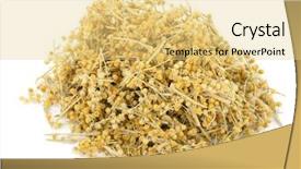 Presentation with medicinal plant - Slide set consisting of medicinal plant dry sagebrush background and a yellow colored foreground