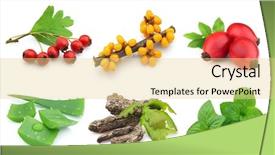  Presentation with berries - Audience pleasing presentation design consisting of medicin plants - herbs and berries backdrop and a blonde colored foreground