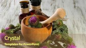  Presentation with thistle - Audience pleasing slide set consisting of medicine bottles and mortar backdrop and a tawny brown colored foreground