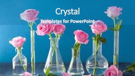 Presentation with blue rose - Cool new PPT layouts with medicin plants - pink rose flowers in chemical backdrop and a teal colored foreground