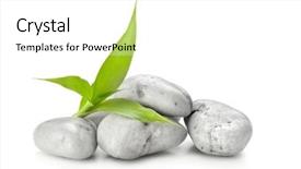  Presentation with zen - Slide deck with medicin plants - zen basalt stones and bamboo background and a white colored foreground