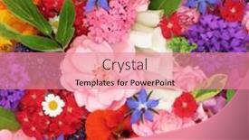  Presentation with summer flowers - Presentation theme with medicinal-summer-flowers-and-herbs background and a coral colored foreground