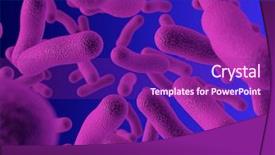  Presentation with nano - Presentation design with nano medicine - realistic rendering of bacteria background and a violet colored foreground