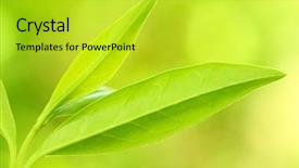  Presentation with angina - Presentation enhanced with medicine and other medical system background and a yellow colored foreground