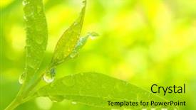  Presentation with coronary artery - Slides enhanced with medicine and other medical system background and a gold colored foreground