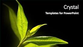  Presentation with coronary artery - Audience pleasing theme consisting of medicine and other medical system backdrop and a black colored foreground