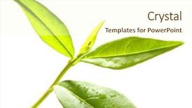  Presentation with angina - Presentation design enhanced with medicine and other medical system background and a cream colored foreground