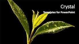  Presentation with peripheral vascular - Theme having medicine and other medical system background and a black colored foreground