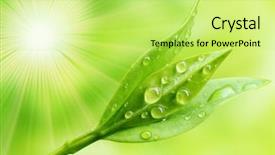  Presentation with angina - Presentation enhanced with medicine and other medical system background and a yellow colored foreground