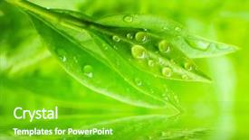  Presentation with angina - Presentation theme with medicine and other medical system background and a shamrock green colored foreground