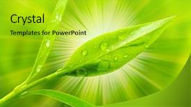  Presentation with angina - Presentation having medicine and other medical system background and a yellow colored foreground